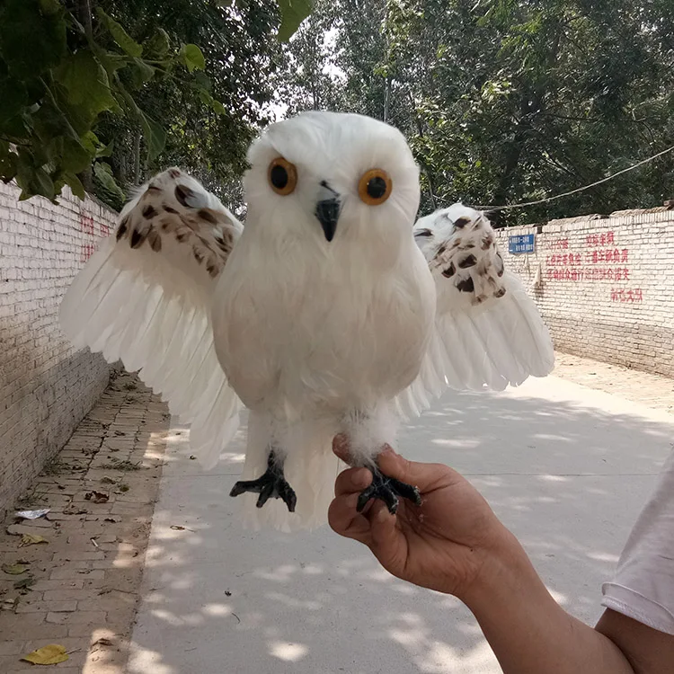 real stuffed owl