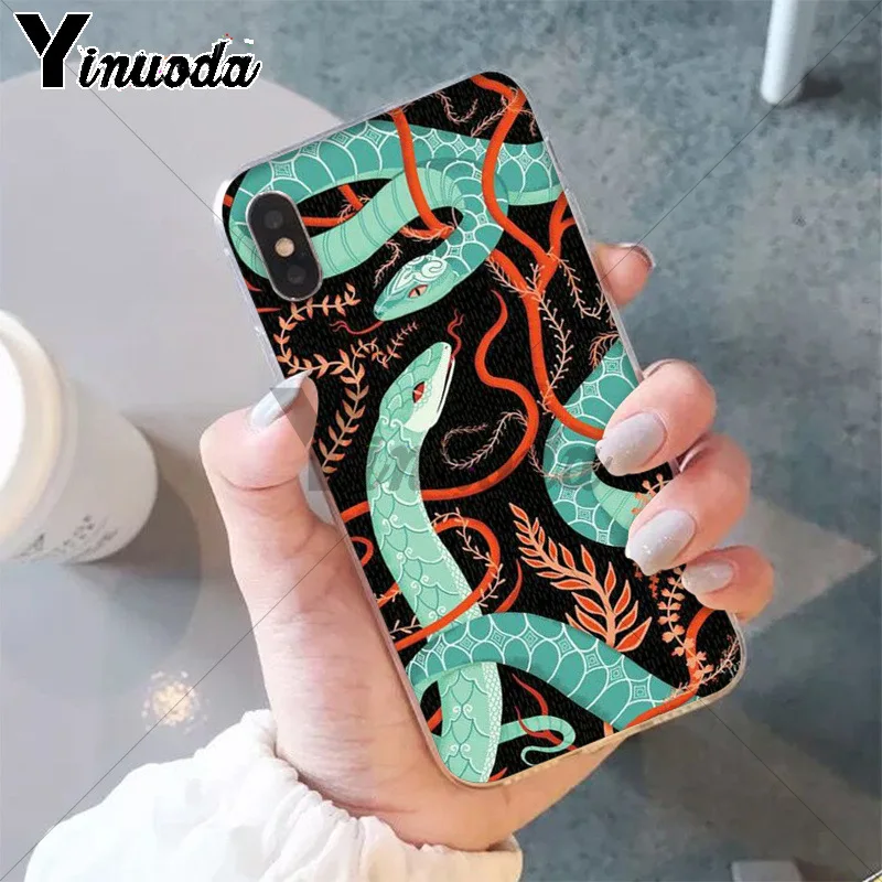 Animal The Snake and Fern