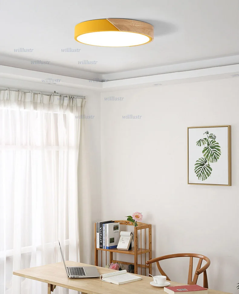 ceiling light (5)