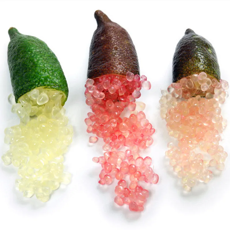 Finger Limes Citrus Pomegranate Seeds 20Pcs Best Seeds Online Free