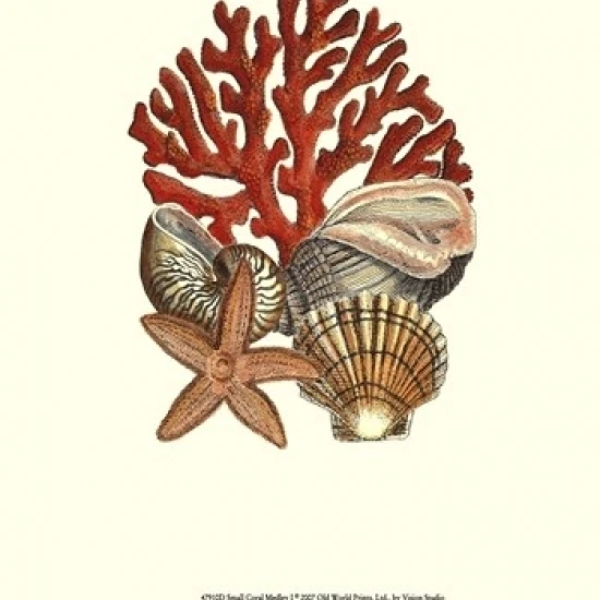 Small Coral Medley I Poster Print (10 x 13)