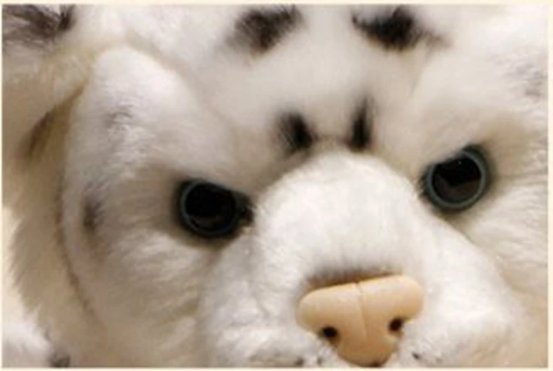 Dorimytrader quality simulation animal white tiger plush toy realistic lying little animals tiger doll kids gift decoration 39x15x16cm DY50142 (13)