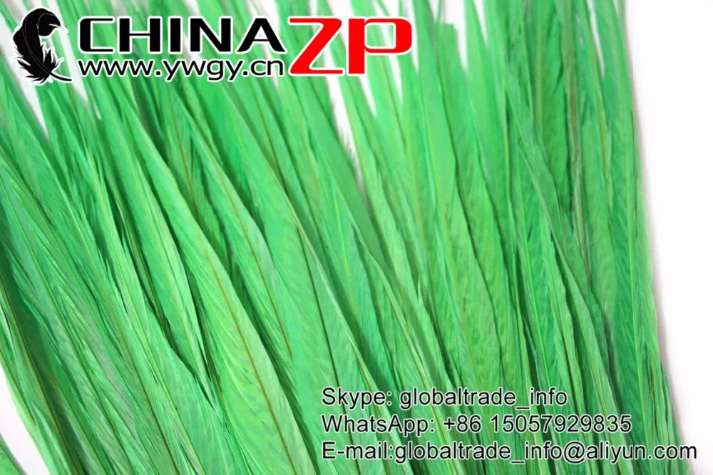 2 Golden Pheasant Tail Feathers Green Color Dyed   (3)