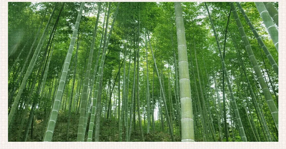 led e27 Юго-Восточной Азии Железные Bamboo Ручной Работы Светодиодные Лампы.Светодиодные Светильники Люстры Подвесные.Светильники Подвесные Светильники.Светильник Подвесной Светильник. Для Столовой,Фойе и Магазин