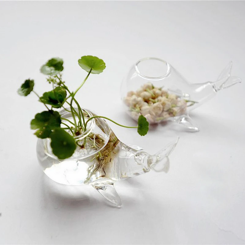 O. RoseLif прекрасная гидропонная Цветочная ваза улитка ручной работы стеклянная ваза для свадебного украшения Цветочная ваза