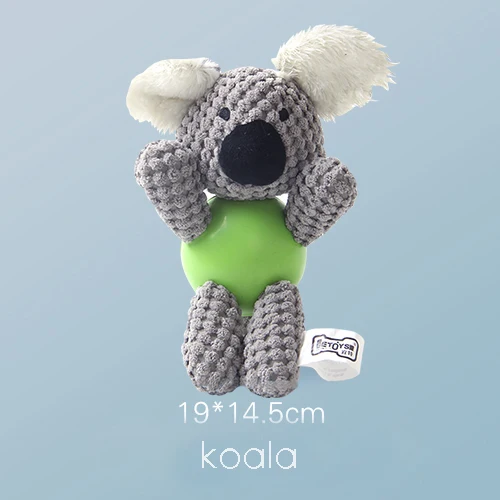 koala