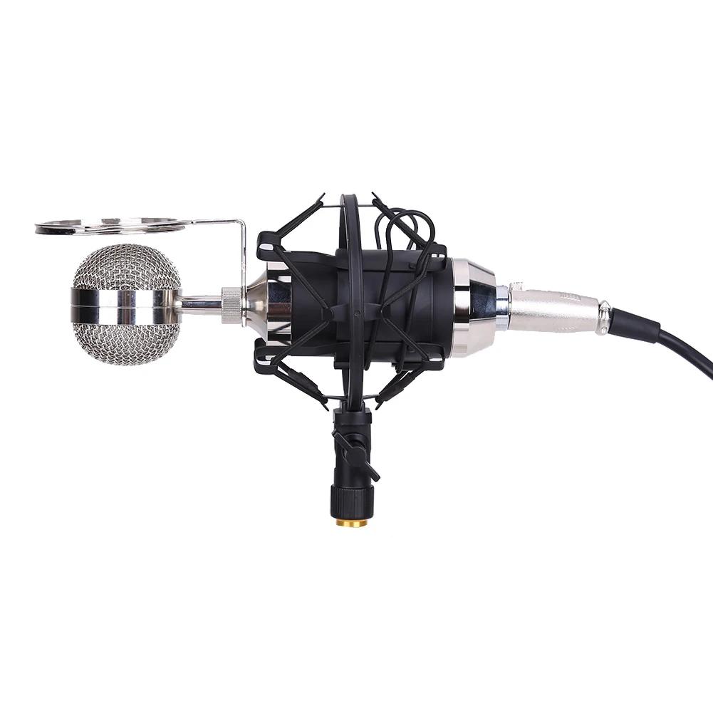 

Professional Sound Dynamic Mic Studio Recording Condensor Microphone For Studios Recording Studios Broadcasting Stations