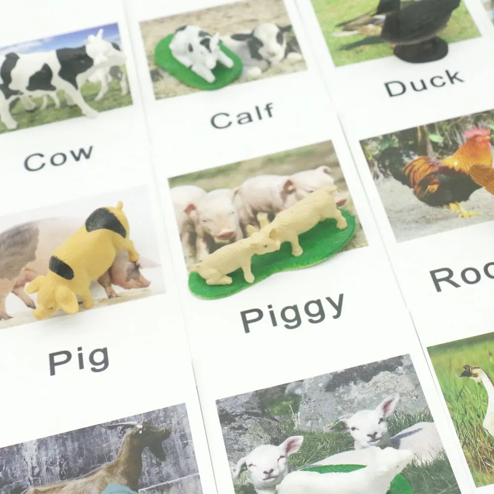 Montessori Language Material Words Learning Farm Animal Matching Educational Toys For 3 Year Olds Juguetes Montessori F2644H