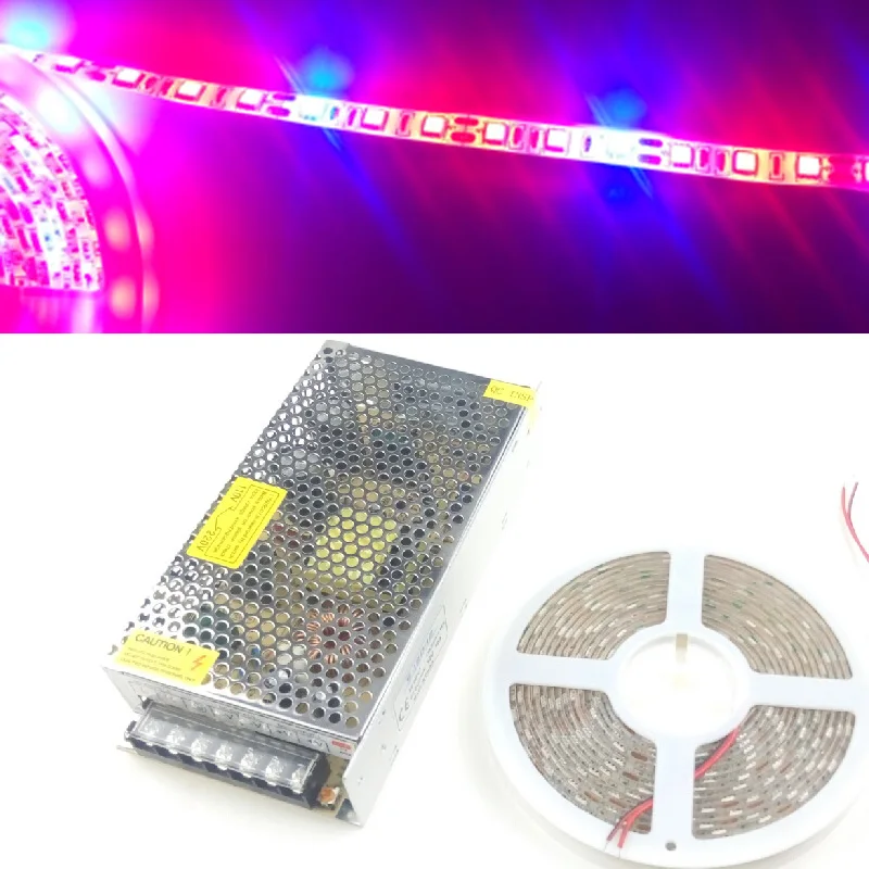 5m 5050 LED Flexible Grow Light Strip 12V Red Blue 4:1 ...