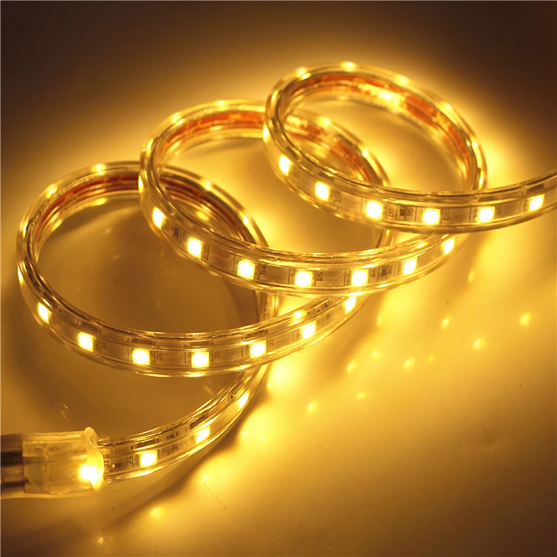 

1M - 20M IP67 Waterproof AC 220V LED Strip light 5050 SMD 60LED/m Outdoor Indoor LED String Tape Lamp With EU Power Plug Adapter