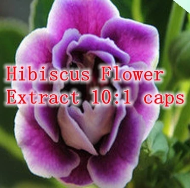 

Hibiscus Flower Extract 10:1 caps rich of VC and Anthocyanidins 500mg x300pcs=1 lot free shipping