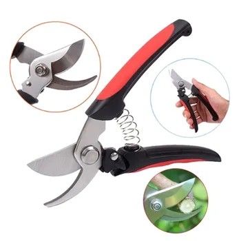 

Garden Pruning Shear Tools Grafting Pruner Vaccination Cutting Tree Vaccine Gardening Tool Plant Shears Scissor Accessories