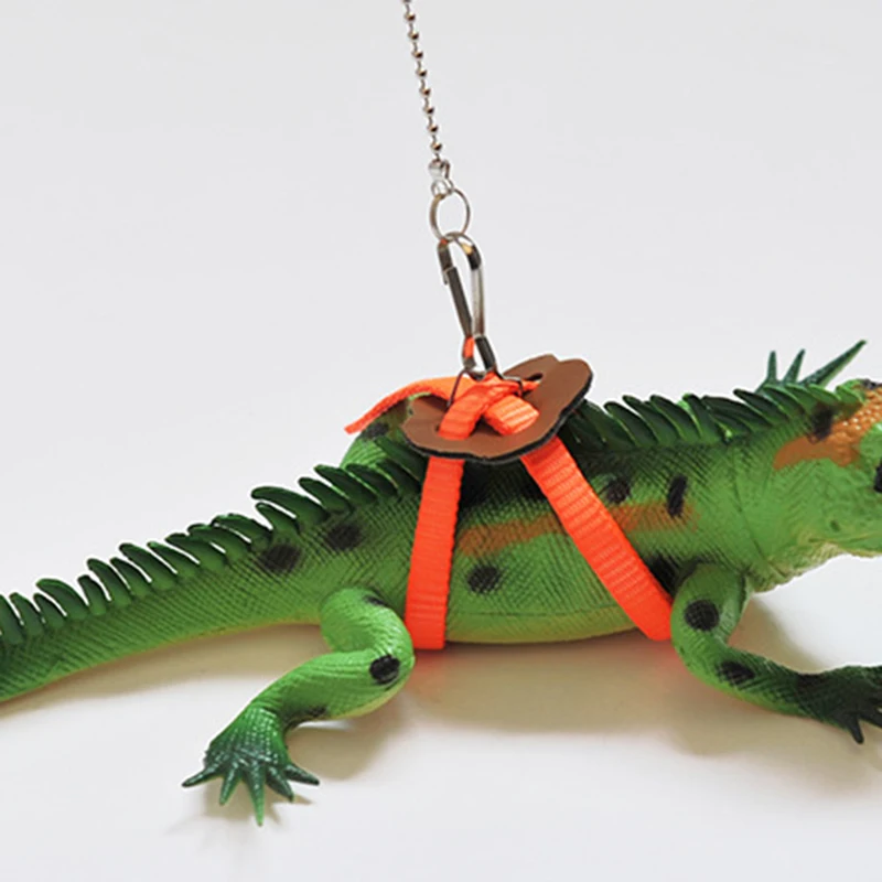 Bearded Dragon Gecko Reptile Supplies Fly Animal Pet Bird Parrot Adjustable Lizard Training Cable Rope Strap Walk Bearded Dragon Gecko Reptile Supplies Fly Animal Pet Bird Parrot Adjustable Lizard Training Cable Rope Strap Walk