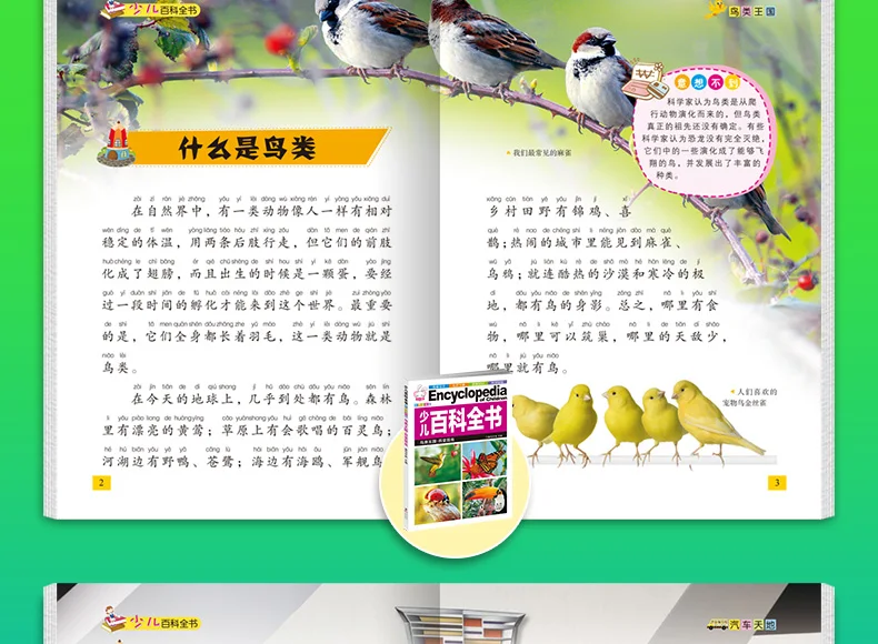 Детская Студенческая энциклопедия книга динозавра популярные школьные книги Китайский, пиньинь книга для чтения для детей 6-12 лет, набор из 8