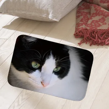 

40x60cm floor mat hallway doormat suede Welcome entrance door mat anti-slip water Water absorption carpet cat dog print rugs QX