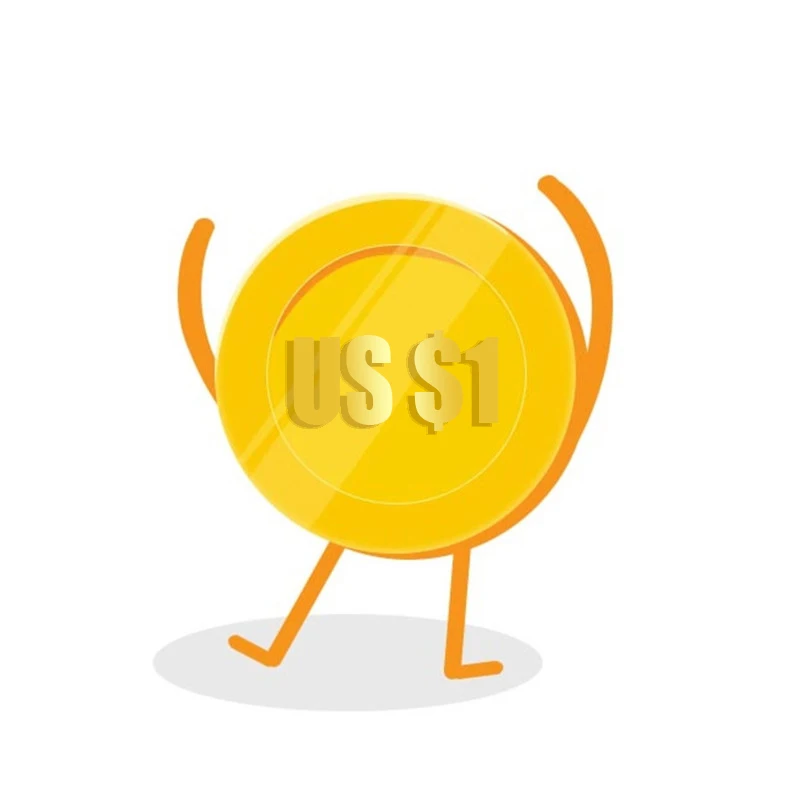 Top Universal Extra/Additional Pay On The Order For Shipping Or Other Difference Pay & Extra Fees & Shipping cost Postage 0