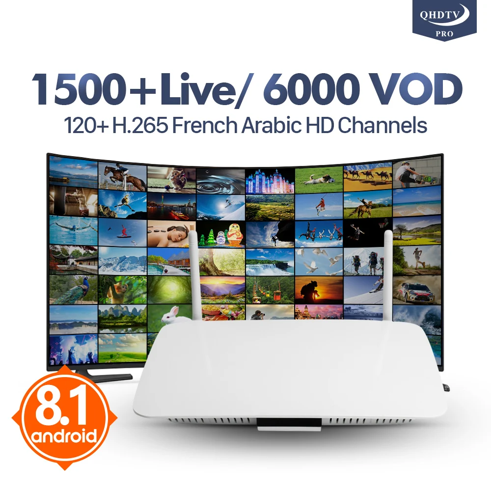 

QHDTV Pro Leadcool Q1404 Arabic France IPTV H.265 Decoder Android 8.1 1+8G RK3229 4K Netherlands Belgium IPTV 1 Year IP TV Box