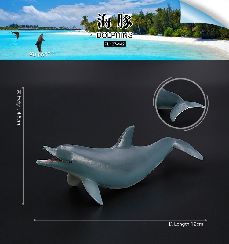 海豚-442
