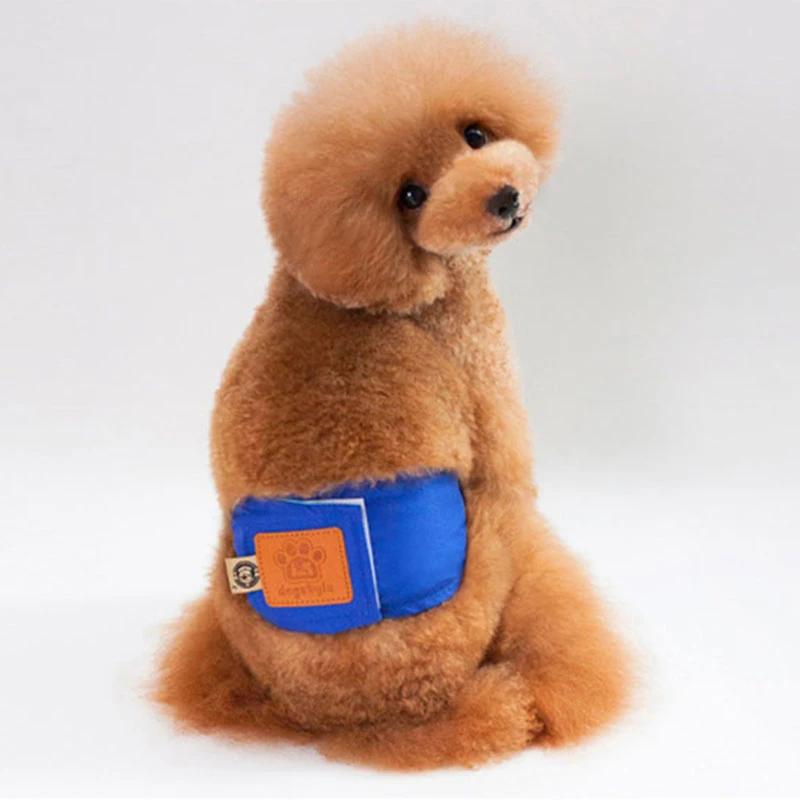 reusable dog belly bands