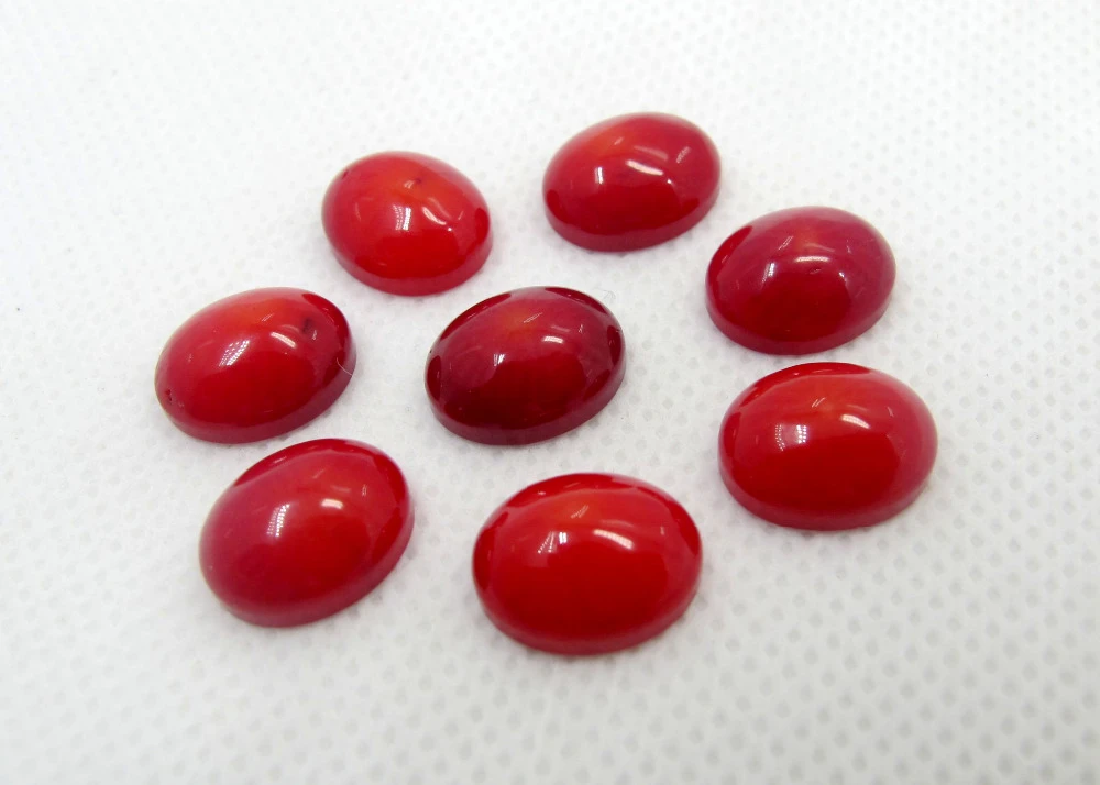 Gorgeous Lot 10 Pcs Original Red Coral Cabochon Round Gemstone 12 X 12 MM Coral Round Gemstone Natural Red Coral Cabochon Round Loose Gems