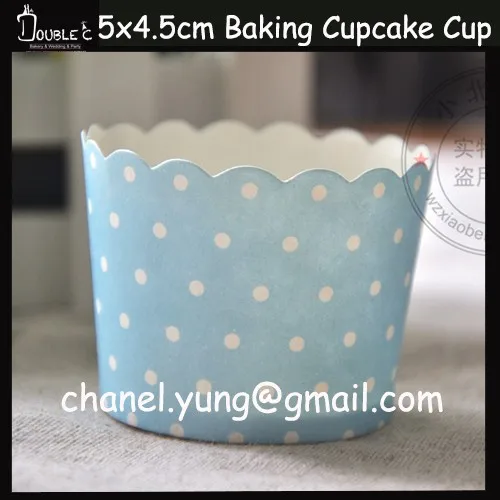 cup24
