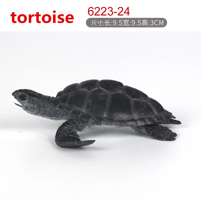 4456010632_1085278937