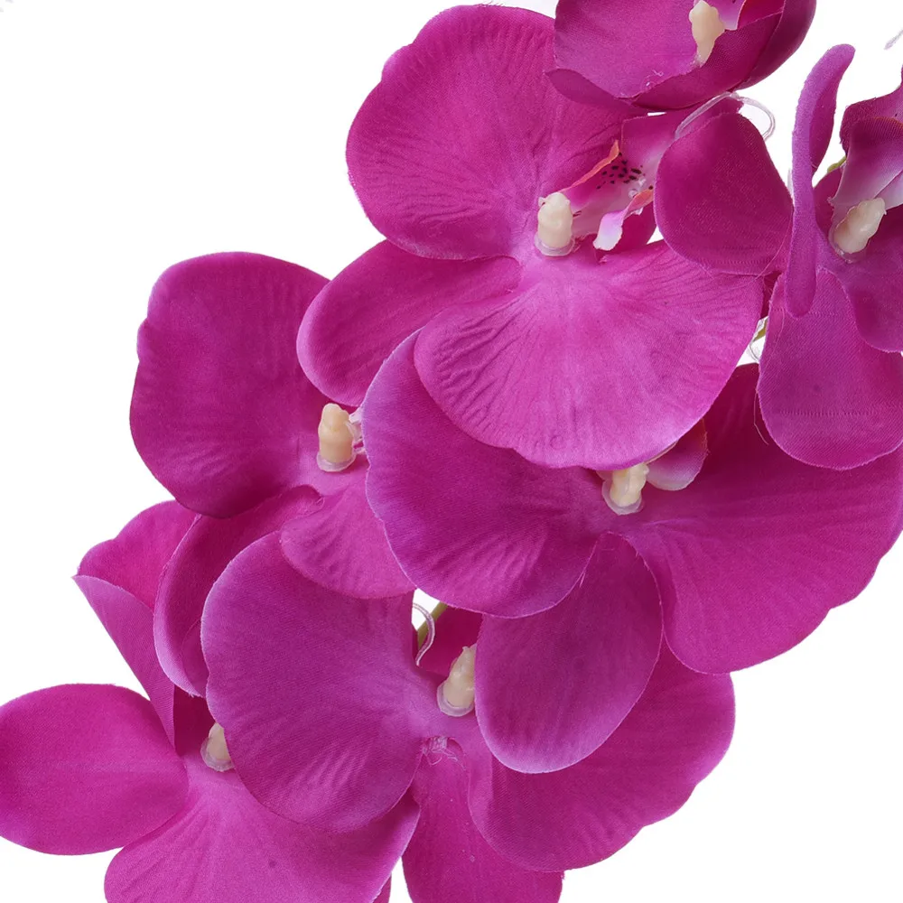ZS313DarkPurple (2)