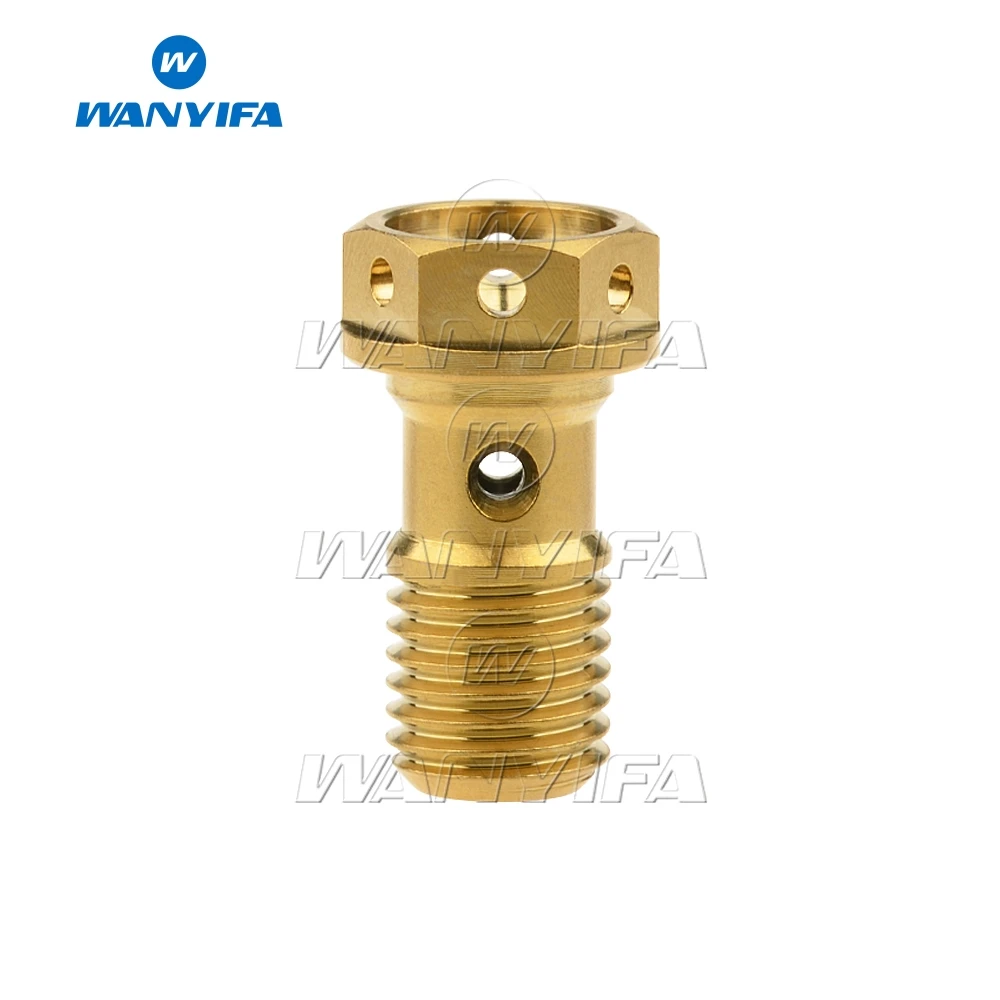 Titanium Brake DOUBLE Banjo Bolt /& Bleed Nipple M10 x 1.0 Gr5 Ti BREMBO Ducati