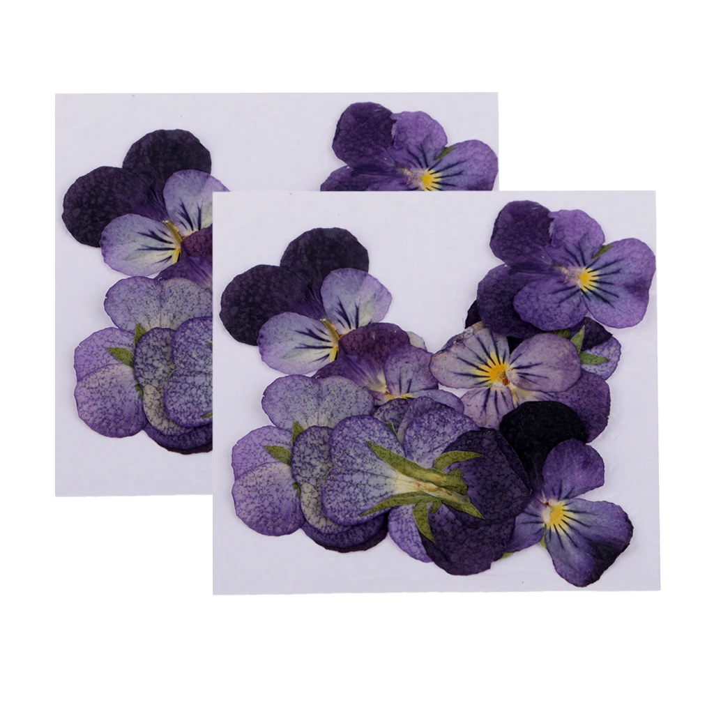 24 Pcs Violet Natural Real Dried Flowers For DIY Crafts Scrapbooking Nail Art Jewelry Making Resin Casting  DIY Necklace Pendant