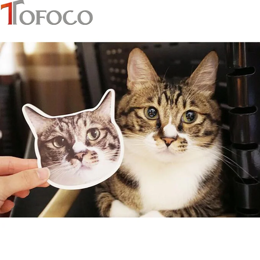 xq01185stickE7