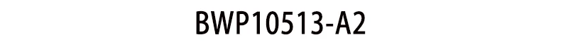 BWP10513-2