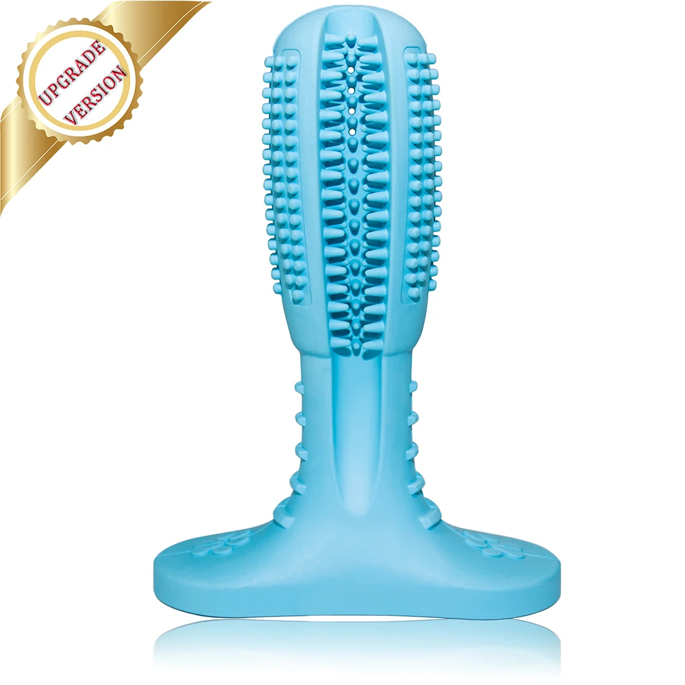 dog toothbrush 1