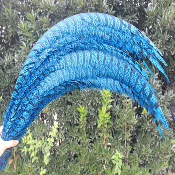 

10 pcs/lot 32-36inch/80-90cm Sky blue Lady Amherst Pheasant feather for Home Decoration,Wedding Party Decoration