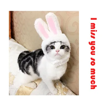 

Cat Accessories Dog Cat Headwear Cute Funny Garfield Hat cloth Pet Supplier Cat Puppy Props