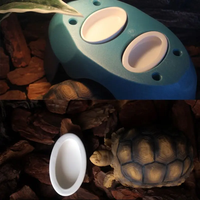 Reptile Bowl Turtle Feeder Water Food Dish Lizard Snake Basin Worm Anti