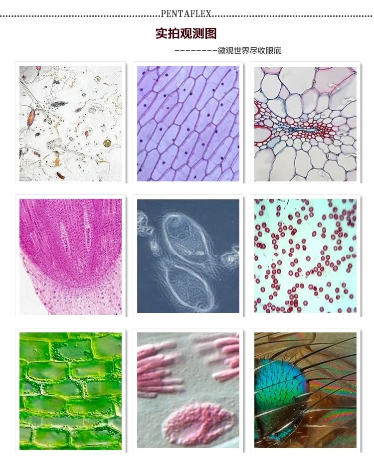 XP203 40X-1600X тринокулярные микроскопы биологический образовательный научный лабораторный школьный ученик Дети