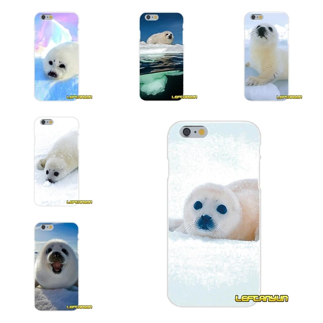 Cute Baby Harp Seal Arctic Snow For Sony Xperia M2 M4 M5 E3 Xa Aqua