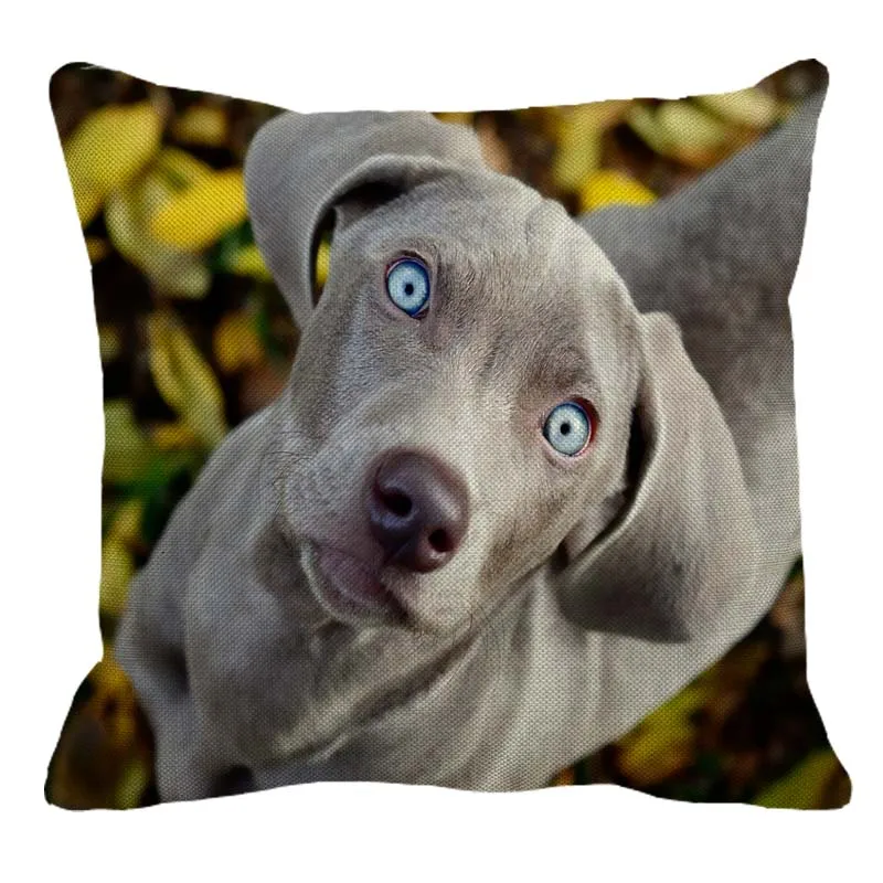 XUNYU/Милая льняная наволочка для дома с рисунком веймаранера, квадратная наволочка для дивана, наволочка для подушки для собак, 45X45 см, AC111 - Цвет: 3