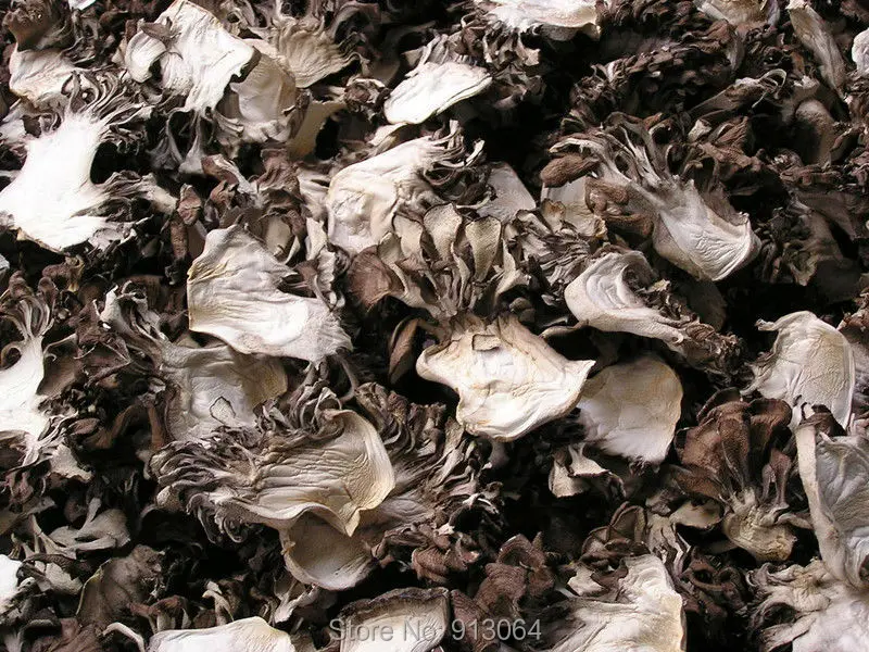 201238141435402