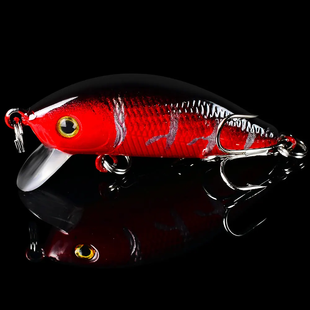 DW1259-SKU-G