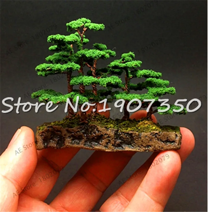 

Mini pine Bonsai 50 Pcs Japanese White Spruce Pine Pinus Parviflora Tree Bonsai Evergreen DIY Home Garden office desktop Decor