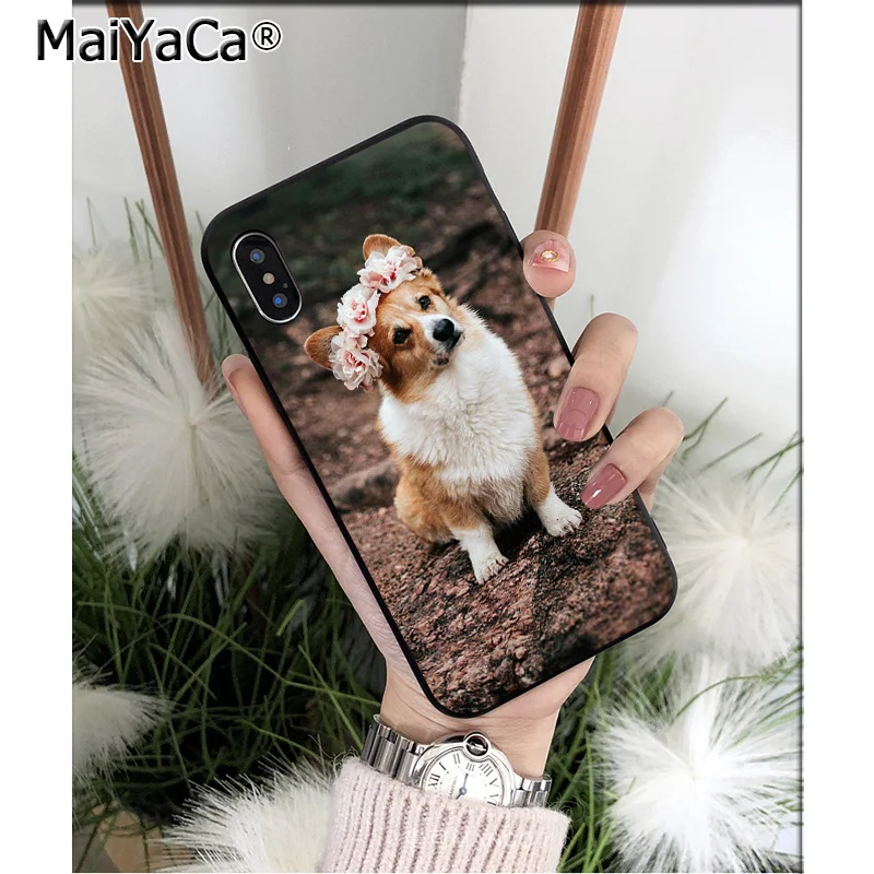 Anime Corgi dog