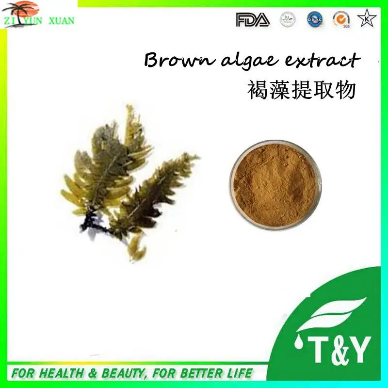 

Hot selling 100% Natural HPLC 10% Fucoxanthin Brown Algae Extract for lose wegnht health product 1000g/lot for free shipping