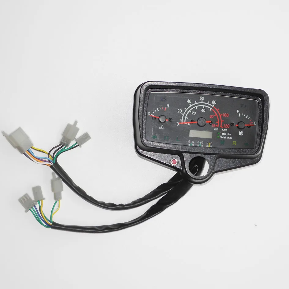 Speeo meter 2010