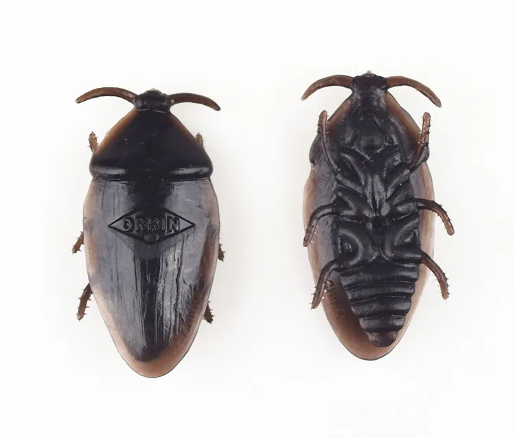 4416338152_805265677