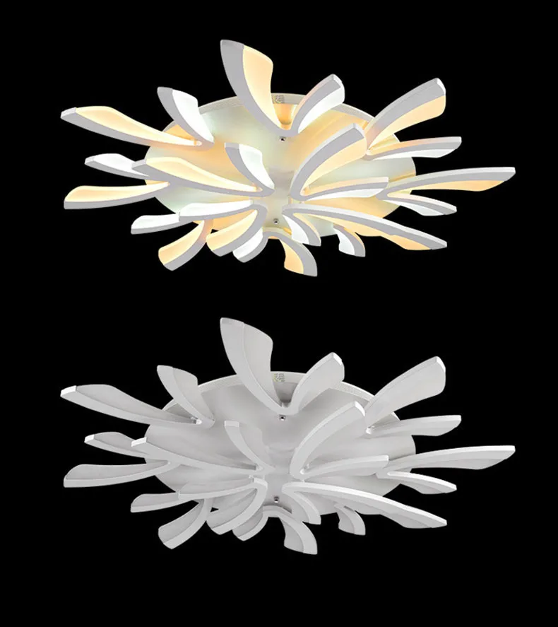 2689266078_1833629700