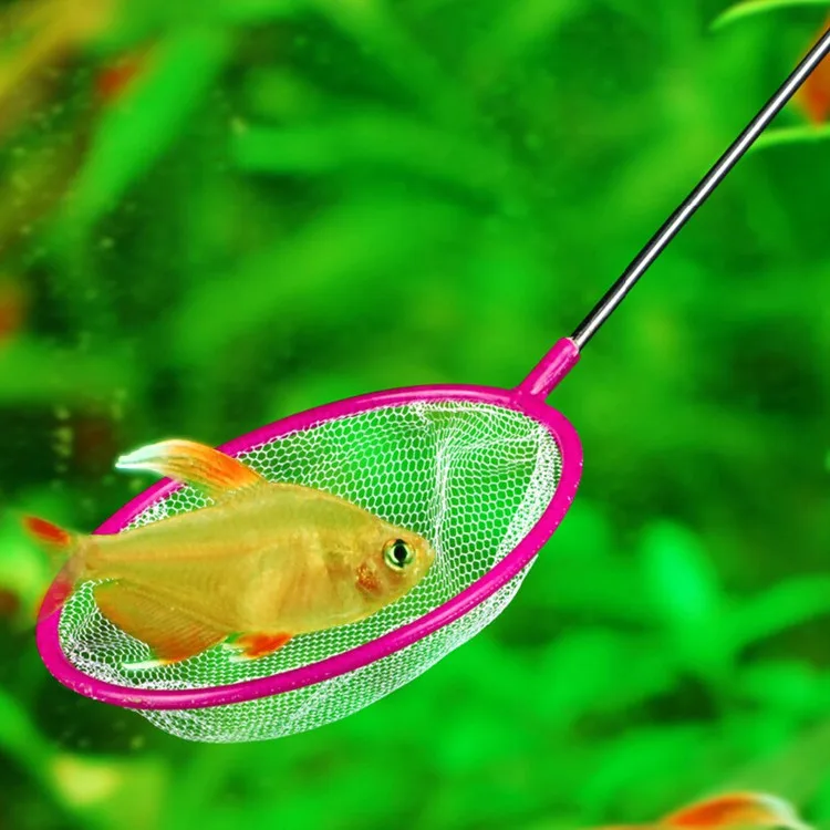 10 шт. рыболовная сеть для аквариума|brine shrimp net|mini minimini portable |