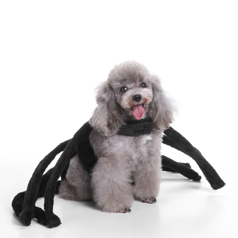 Милый костюм на Хэллоуин Одежда для собак рубиновый Костюм Компания ПЭТ Человек-паук костюм для собаки коллекций Святой Борзая Собака Одежда для питомца одежда HY