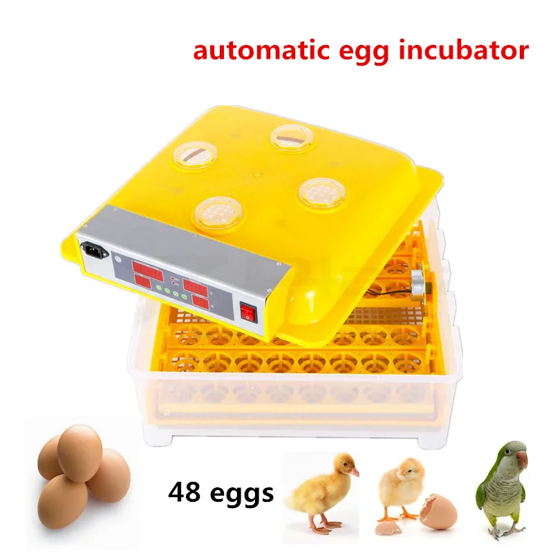 

Mini home use Capacity 48 eggs Full Automatic Egg Incubator for Chicken with Digital Commercial Thermostat Control 80W