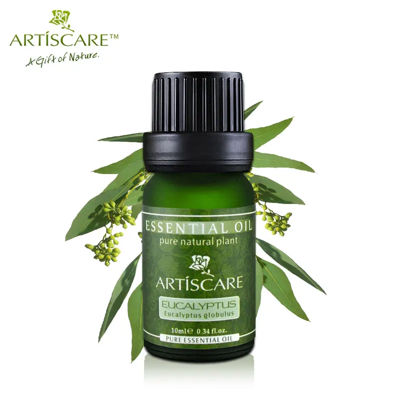 ARTISCARE 100% Pure Eucalyptus Essential Oil for Refreshing Skin and Anti-inflammatory Clean Wound Skin Care Massage Oil 10ml цена ARTISCARE 100% Pure Eucalyptus Essential Oil for Refreshing Skin and Anti-inflammatory Clean Wound Skin Care Massage Oil 10ml цены онлайн